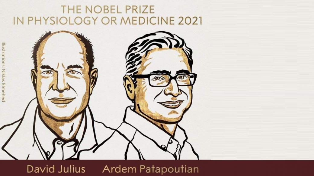 Лютите чушки донесоха тазгодишния Нобел за медицина