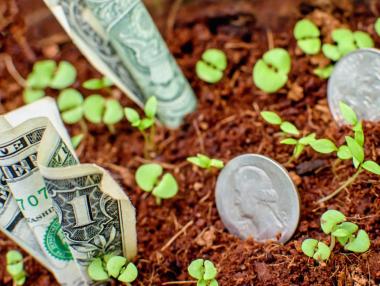 Allianz: Българските домакинства са сред малкото нещастни спестители