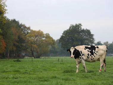 Още 20 държави ще се включат в борбата срещу емисиите на метан