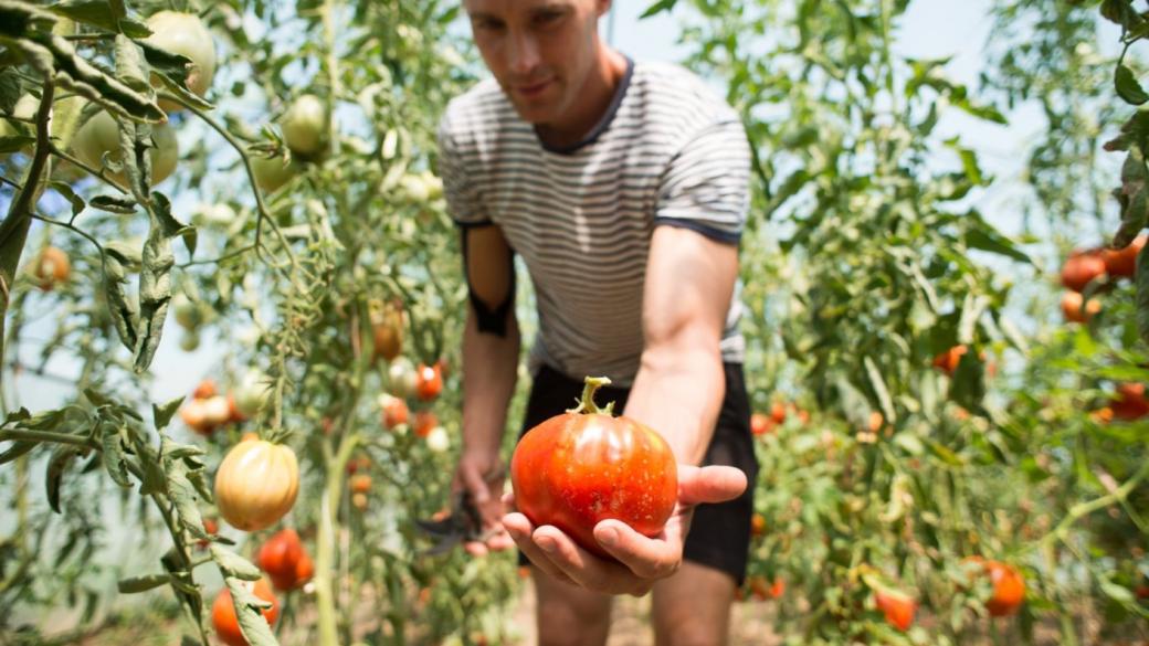 Младите фермери в България не ползват европейските средства