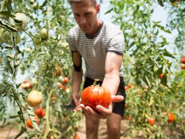 Младите фермери в България не ползват европейските средства