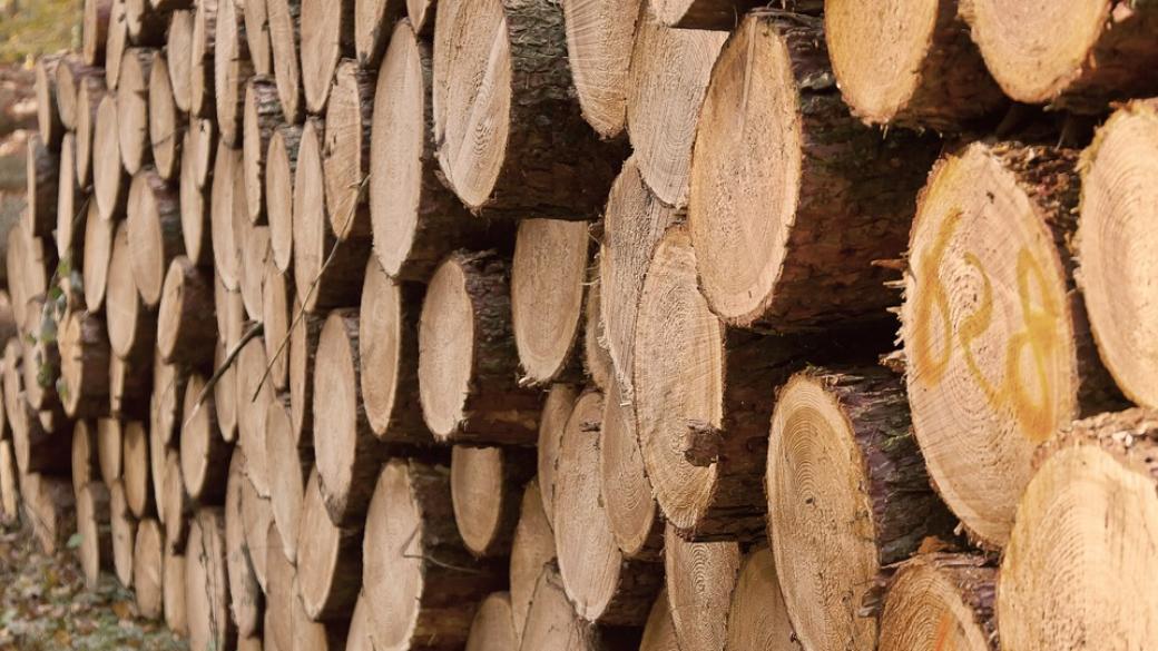 Преди зимата – дефицит на дърва за огрев в страната