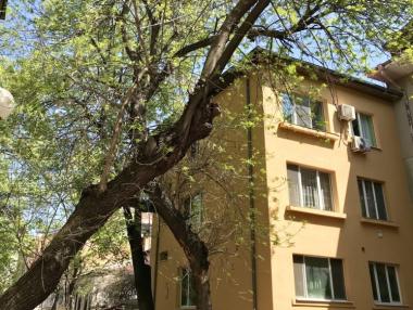 БНБ очаква укротяване на жилищното кредитиране догодина