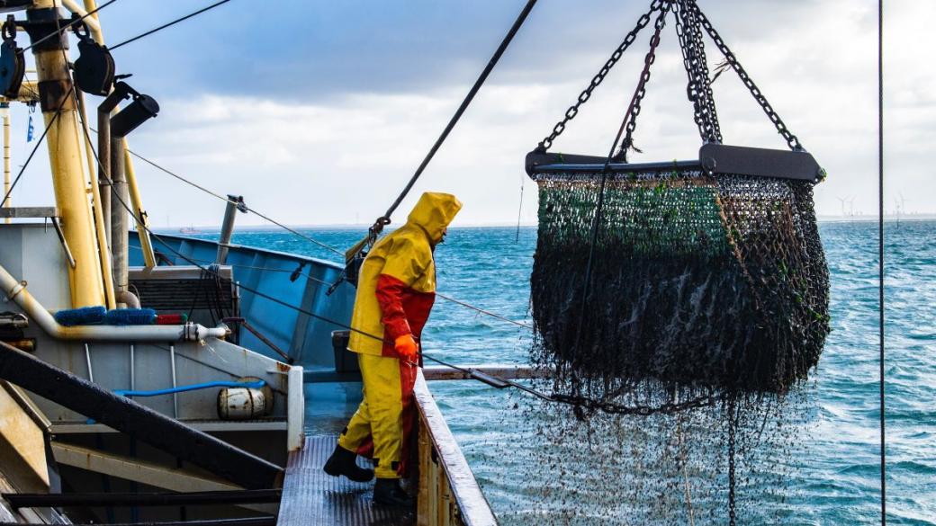 Франция отмъщава на Великобритания в риболовна схватка
