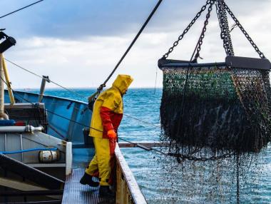 Франция отмъщава на Великобритания в риболовна схватка