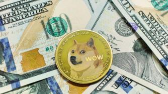 „Убиецът на доуджкойн“ успя да изпревари любимата криптовалута на Мъск