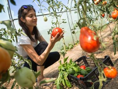 50 хил. стопани ще получат 72 млн. лв. заради COVID-19
