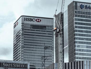 Как финансови гиганти са спечелили милиони от обезлесяването на горите?