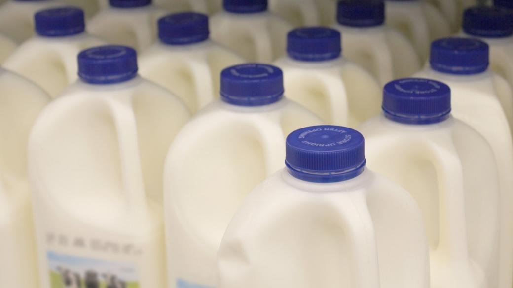 Скокът в цената на млякото и млечните продукти е неизбежен