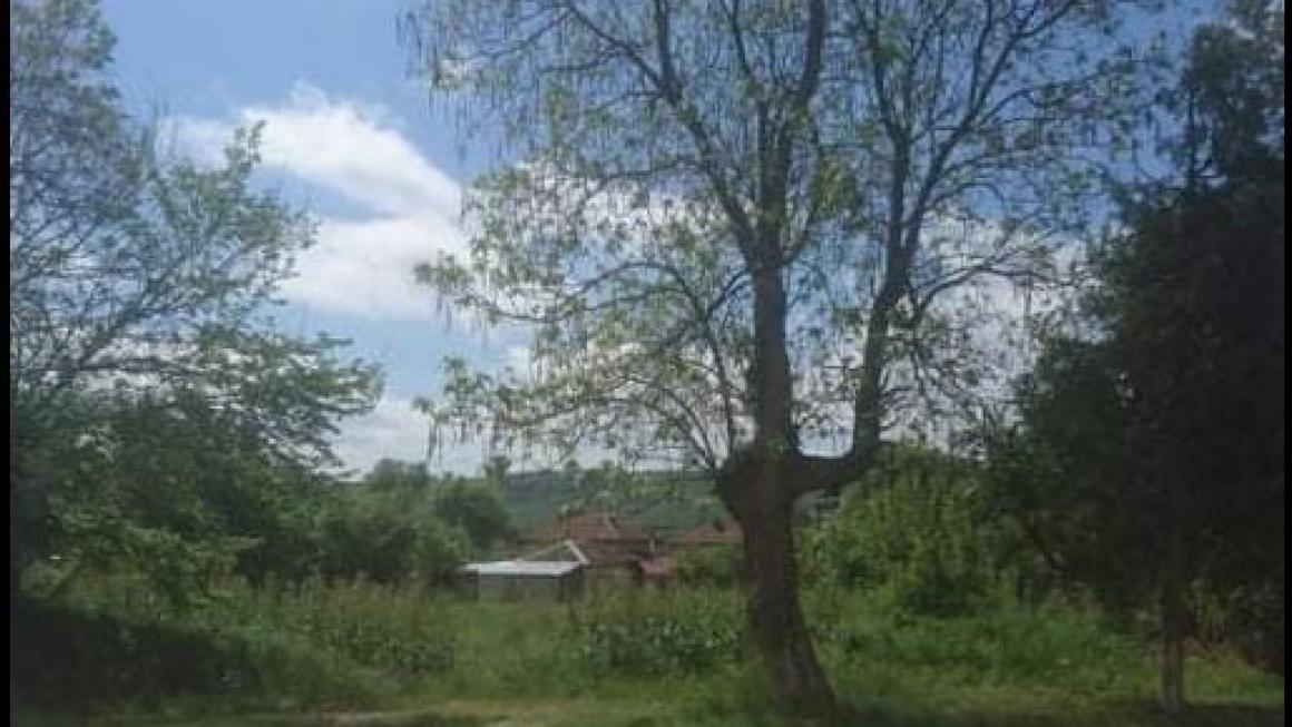 Галерия :: Снимка 23 :: Асфалтовият брецел в Дреновец: Добра идея, потресаващо изпълнение (галерия)}