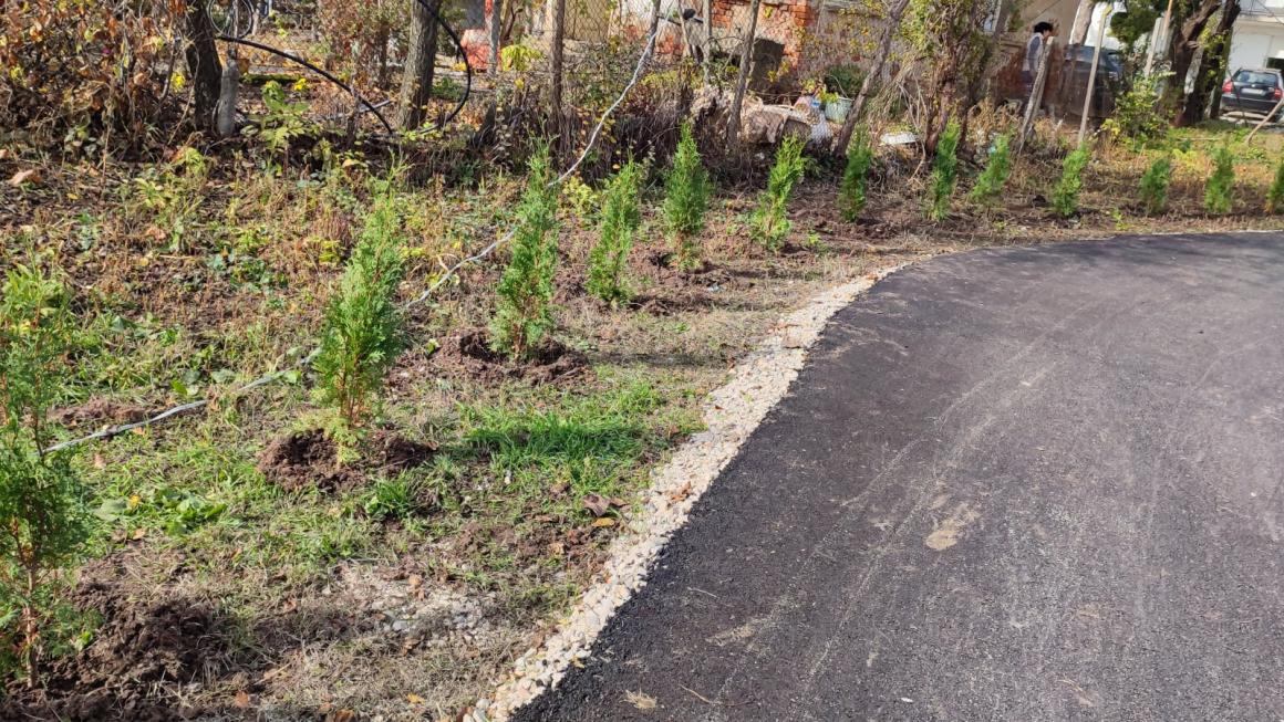 Галерия :: Снимка 17 :: Асфалтовият брецел в Дреновец: Добра идея, потресаващо изпълнение (галерия)}