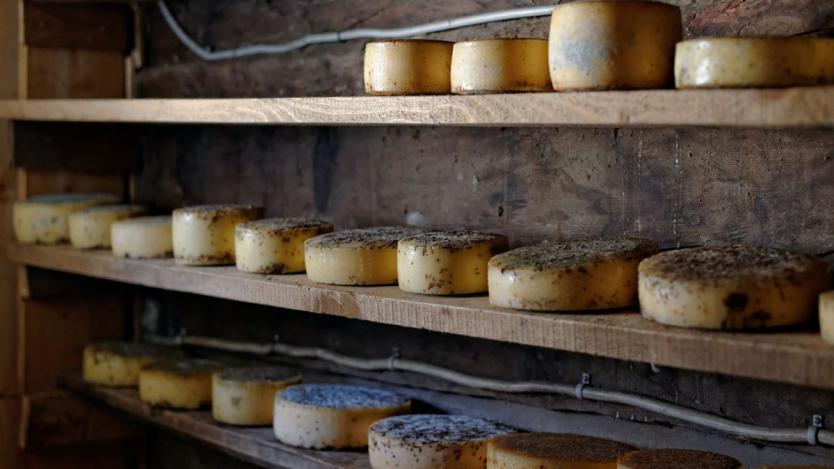 Как английското село Чедър загуби сиренето си