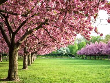 Овощари с пропаднали площи искат държавна помощ