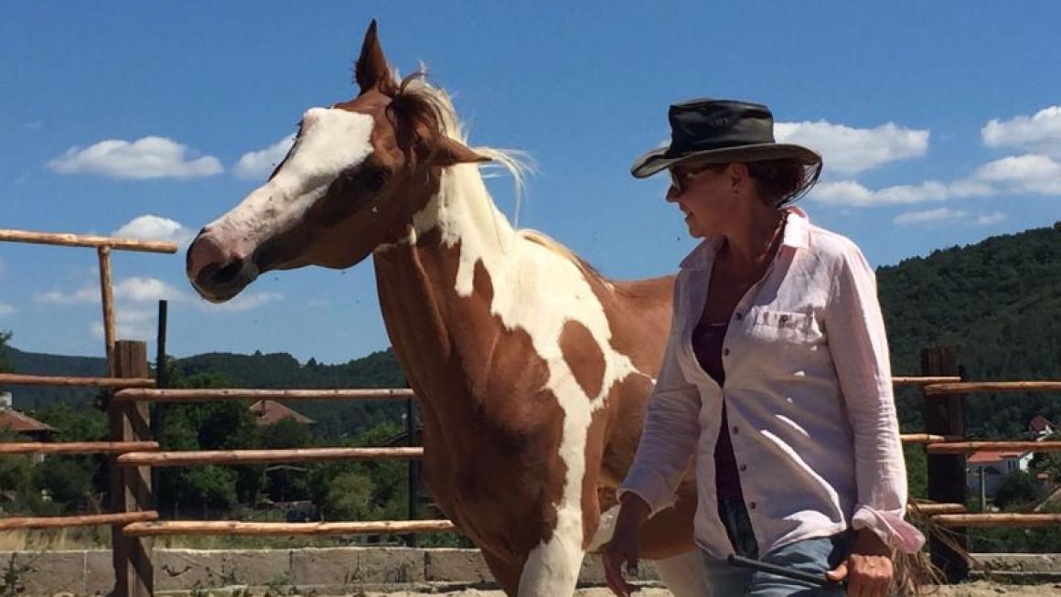 Галерия :: Снимка 10 :: Да получиш урок по ефективност от конете}