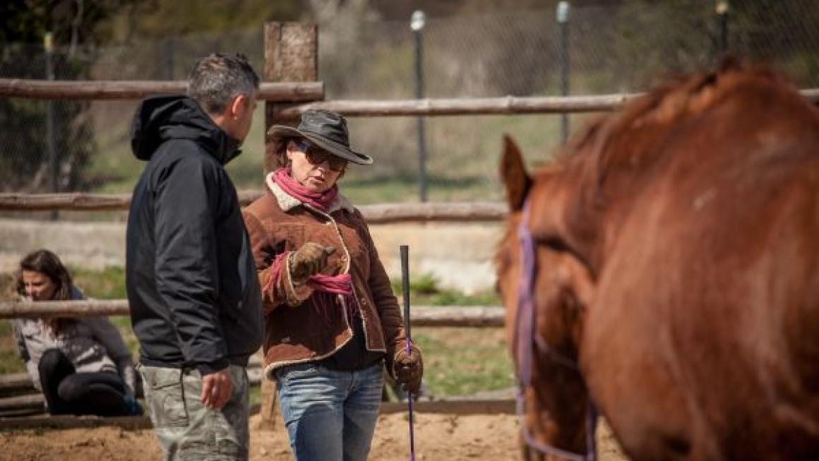 Галерия :: Снимка 11 :: Да получиш урок по ефективност от конете}
