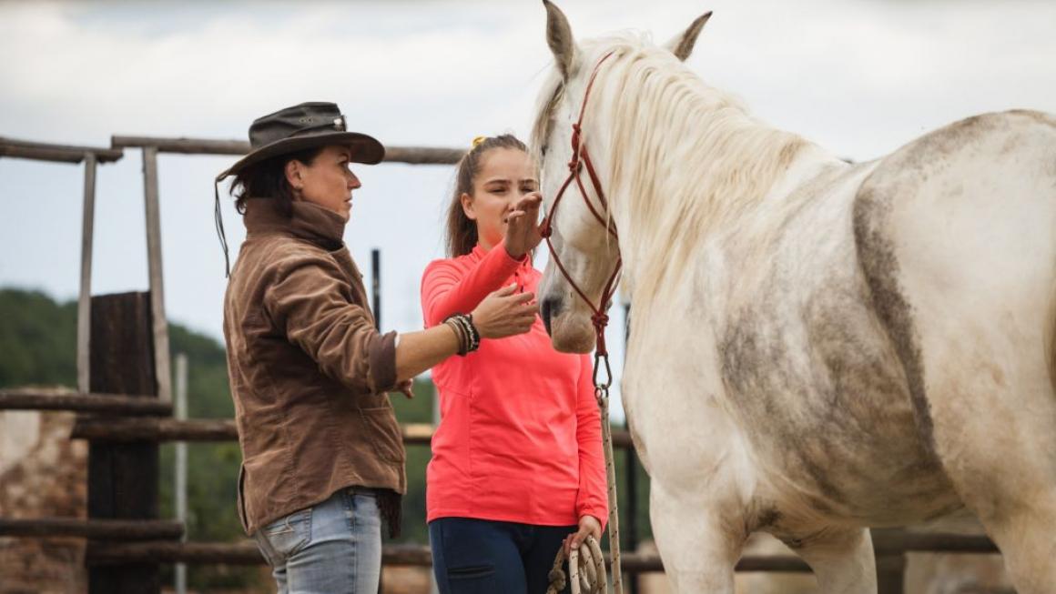 Галерия :: Снимка 15 :: Да получиш урок по ефективност от конете}