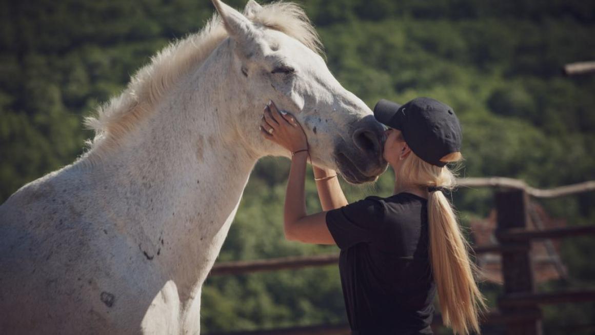 Галерия :: Снимка 17 :: Да получиш урок по ефективност от конете}