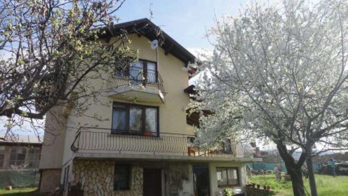 Галерия :: Снимка 1 :: Да получиш урок по ефективност от конете}