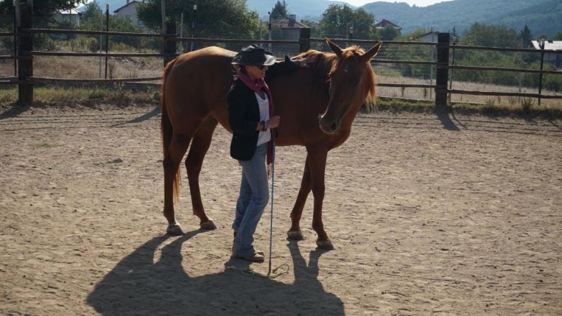 Галерия :: Снимка 2 :: Да получиш урок по ефективност от конете}