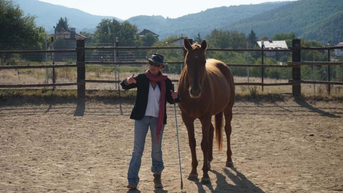 Галерия :: Снимка 3 :: Да получиш урок по ефективност от конете}