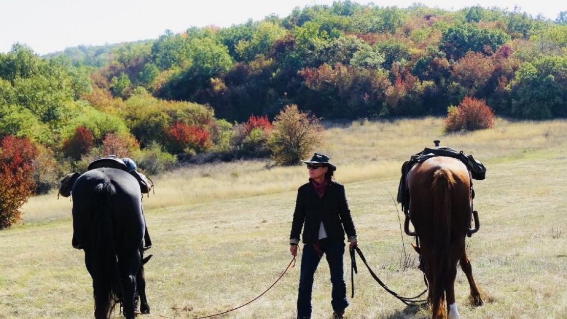 Галерия :: Снимка 5 :: Да получиш урок по ефективност от конете}