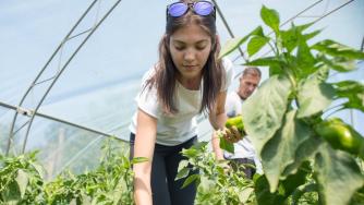 Модернизират семейните ферми по нова мярка