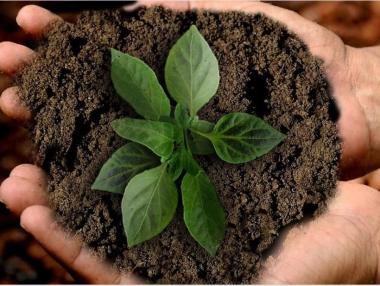 Състоянието на почвените и водните ресурси се влошава