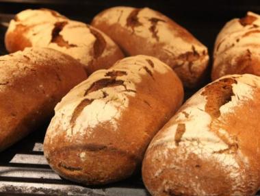 Хлебопроизводителите в България изпращат тежка година