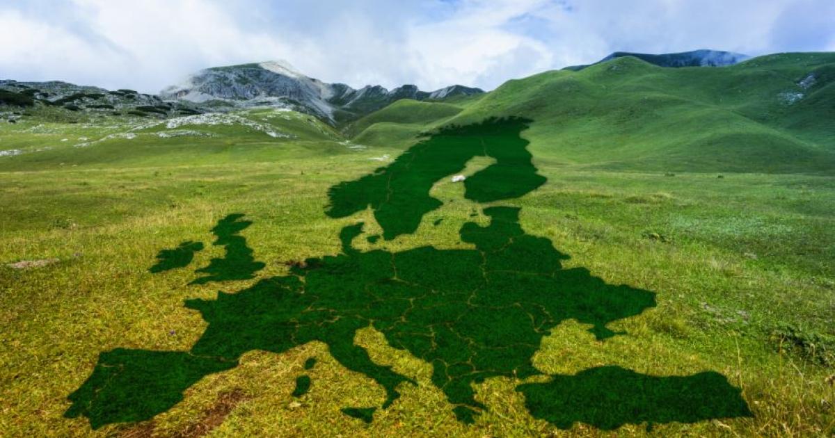 Красимир Димитров е собственик и управител на &bdquo;ИннДев&ldquo;. Той е