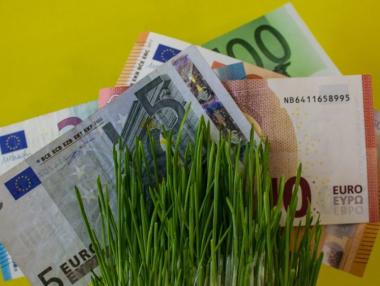 Как да бъдем зелени: Следващата голяма битка в Европа