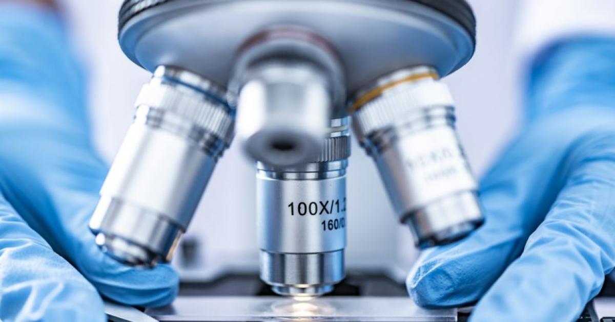 Те ще се учат от някои от най-добрите професионалисти от