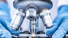 Те ще се учат от някои от най добрите професионалисти от