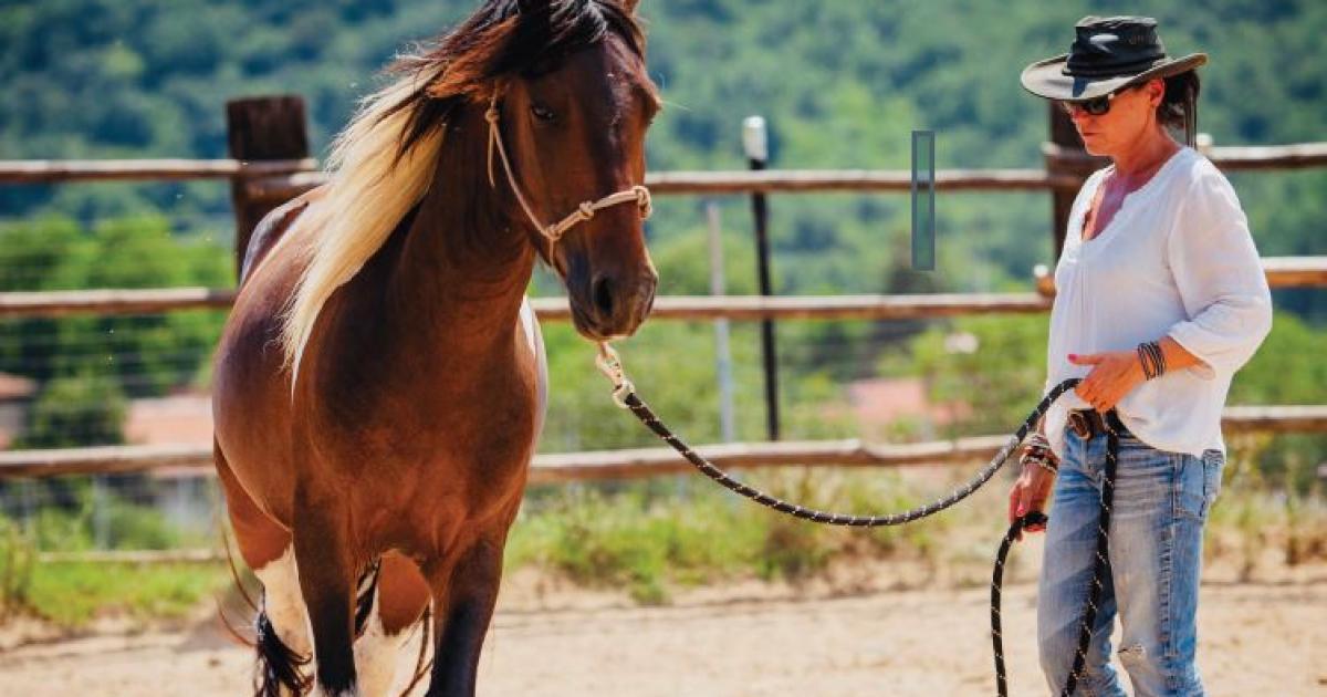 Може да си лидер като позиция в бизнеса, но може