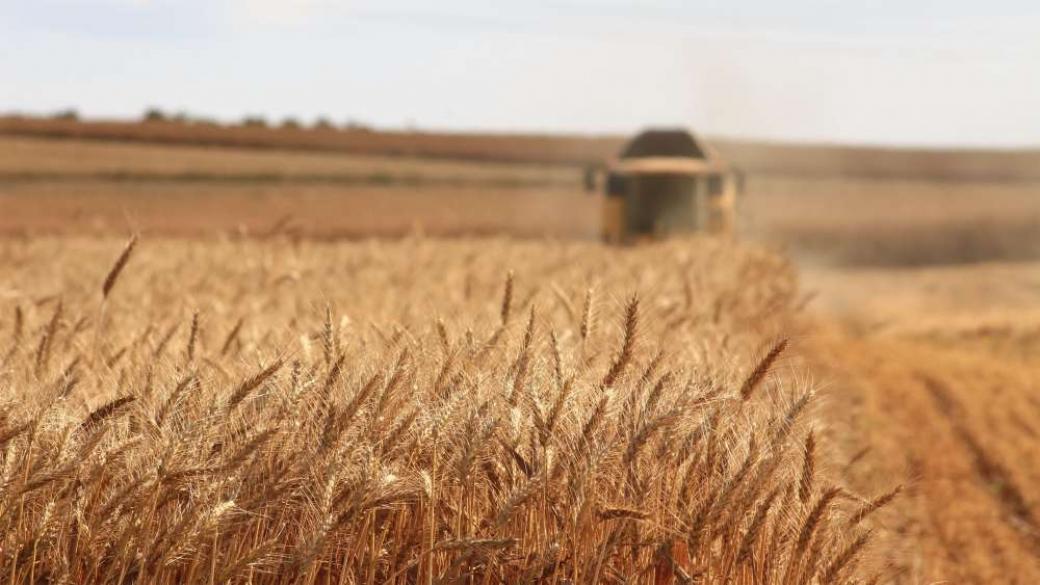 Русия забрани износа на зърно за бивши съветски републики