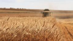 Русия временно забранява износа на зърно и захар за страни