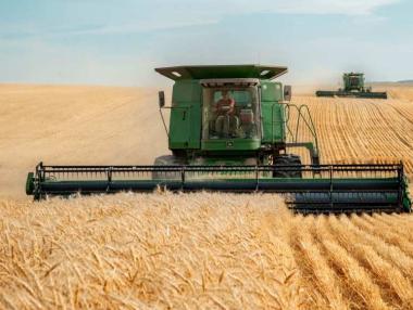 Как войната в Украйна застрашава световното изхранване