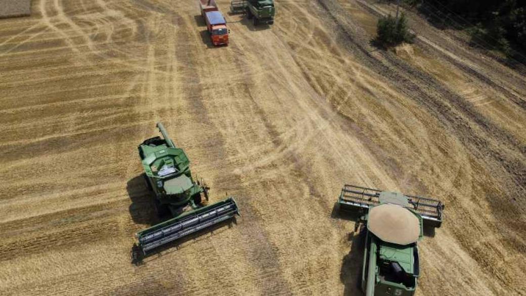 Цените на пшеницата са рекордни, но фермерите не печелят