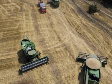 Цените на пшеницата са рекордни, но фермерите не печелят