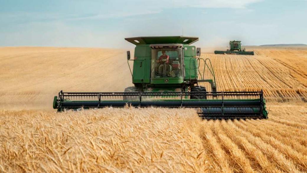 Индийската пшеница предизвика „лудост“ на световния пазар