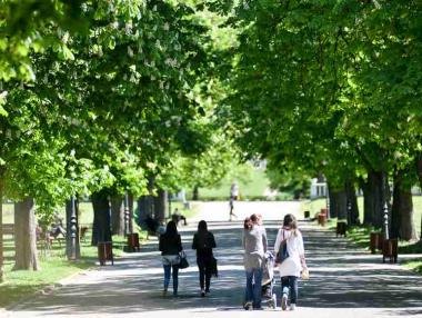 Линията на бедност като алтернатива на ГМД