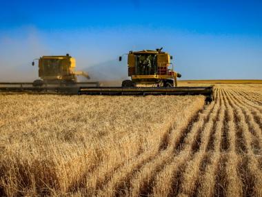 Войната засилва опасенията от глобална продоволствена криза