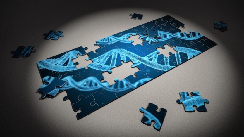 ДНК разкрива тайните на предците ни