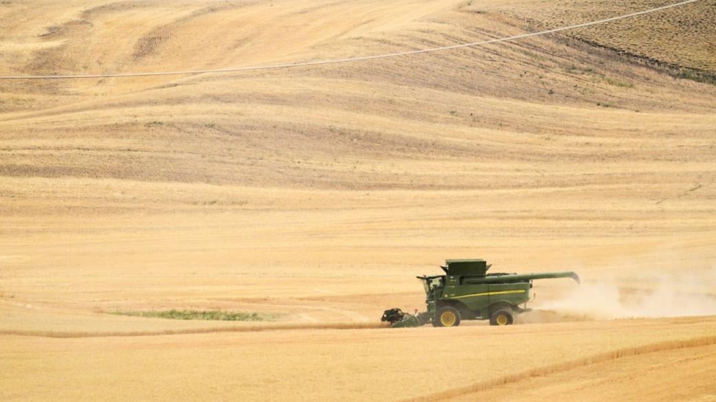 Проблемът с украинското зърно: колко е блокирано и защо това засяга света?