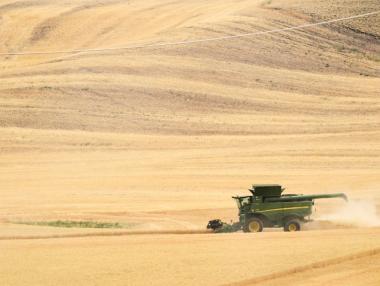 Проблемът с украинското зърно: колко е блокирано и защо това засяга света?