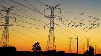 Русия спира електроснабдяването на Финландия