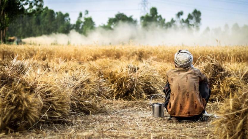 Горещините в Индия застрашават продоволствената сигурност