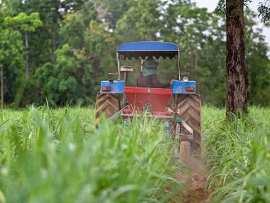 Най-големият производител на захар в света ограничава износа
