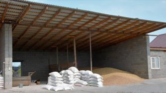 Няма опасност от зърнена криза в България