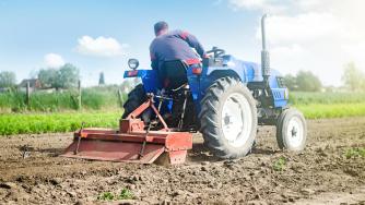 Катастрофалният проблем с почвата, който заплашва храните и климата