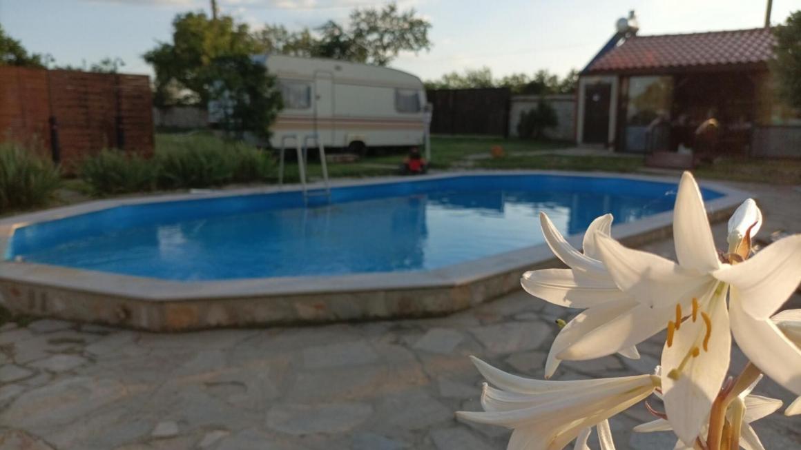 Галерия :: Снимка 0 :: С дъх на море: Нов мини къмпинг отвори край Шабла (Галерия)}